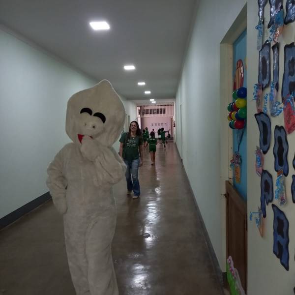 ze gotinha (35).jpeg